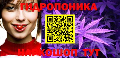 гидропоника Гусь-Хрустальный