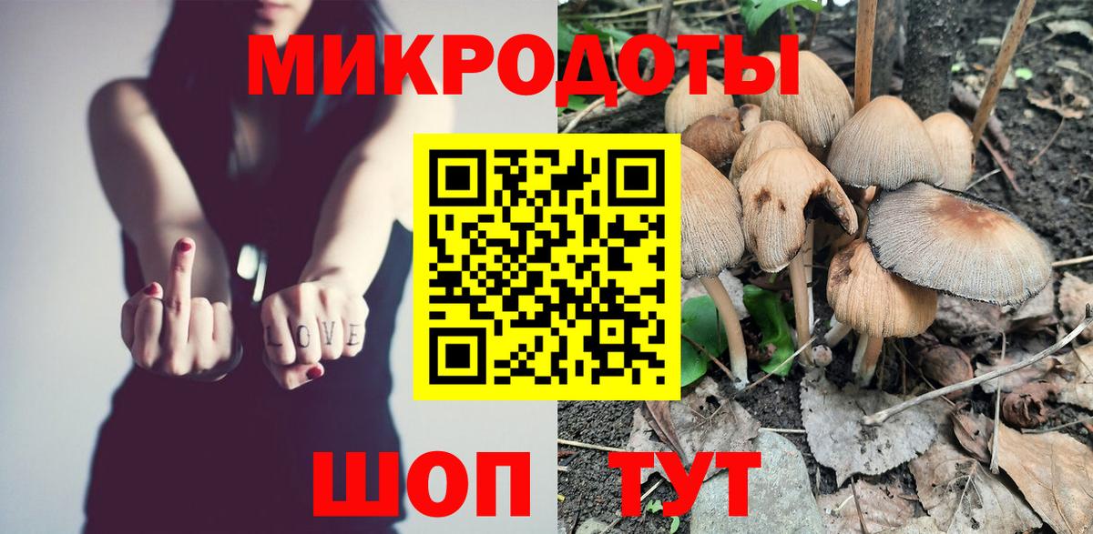 Псилоцибиновые грибы мухоморы Смоленск